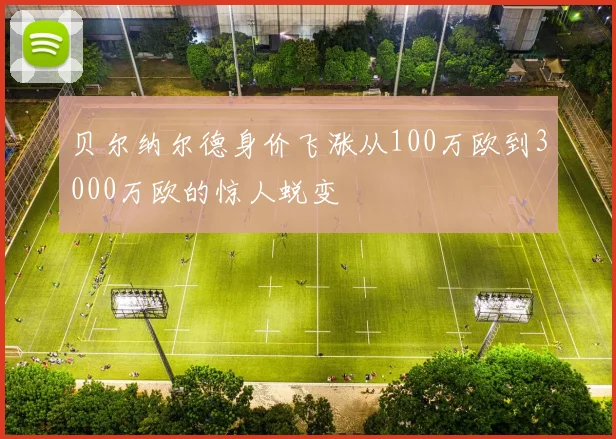 贝尔纳尔德身价飞涨从100万欧到3000万欧的惊人蜕变