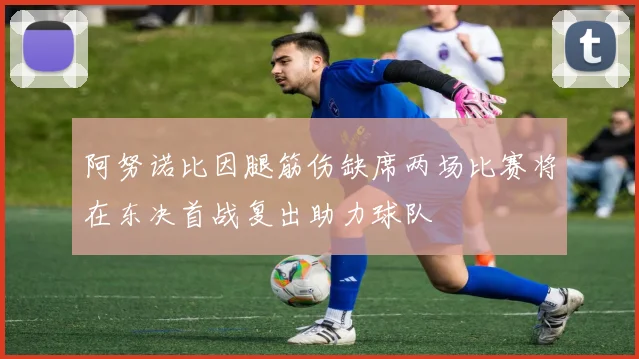 阿努诺比因腿筋伤缺席两场比赛将在东决首战复出助力球队