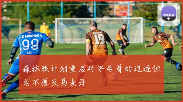 森林狼计划重启对字母哥的追逐但或不愿交易麦丹